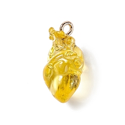 Jaune Pendentifs en résine transparente, charmes de coeur anatomiques, avec boucles en fer plaqué or, jaune, 20.5~21.5x11.5x11mm, Trou: 2mm