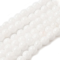 Blanc Malaisie naturel brins jade perles, perles rondes teints, blanc, 10mm, Trou: 1mm, Environ 38 pcs/chapelet, 15 pouce