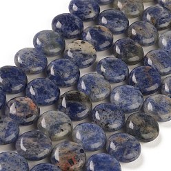 Sodalite Natural Sodalite Beads Strands, Flat Round, 14.6~15.5x6~6.5mm, Hole: 0.8mm, about 27pcs/strand, 15.59''~15.87''(39.6~40.3cm)