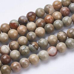 Jaspe Feuille Argent Naturelles feuille d'argent jaspe perles brins, ronde, 10mm, Trou: 1mm, Environ 40 pcs/chapelet, 15.3 pouce (39 cm)