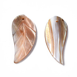 Freshwater Shell Natural Freshwater Shell Pendants, Leaf, 21~22x9~10x1.5~2.5mm, Hole: 1mm
