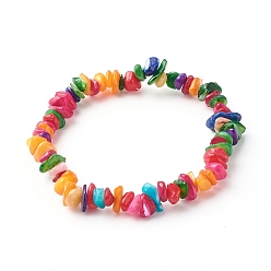 Coloré Bracelets extensibles en perles de coquillage teintes naturelles, colorées, diamètre intérieur: 2-1/8 pouce (5.5 cm)