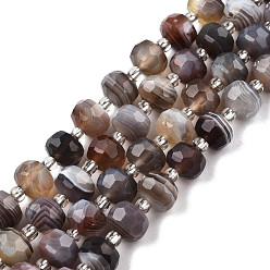Botswana Agate Natural Botswana Agate Beads Strands, with Seed Beads, Faceted, Rondelle, 8x6mm, Hole: 1mm, about 20~22pcs/strand, 7.09 inch(18cm)
