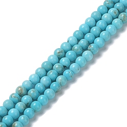 Howlite Natural Howlite Beads Strands, Dyed, Round, 2.5mm, Hole: 0.6mm, about 162~164pcs/strand, 15.51~15.55''(39.4~39.5cm)