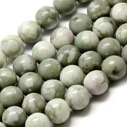 Jade de Paix Brins de perles de jade de la paix naturelle, ronde, 8~8.5mm, Trou: 1mm, Environ 47 pcs/chapelet, 15.5 pouce