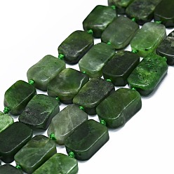 Other Jade Natural Canadian Jade Beads Strands, Rectangle, 14~17x11~13x5~6mm, Hole: 1mm, about 21~23pcs/strand, 15.75~16.14 inch(40~41cm)