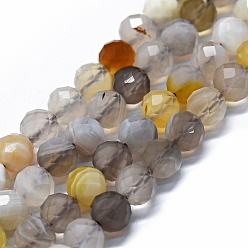 Botswana Agate Natural Botswana Agate Beads Strands, Faceted(64 Facets), Round, 6mm, Hole: 0.8mm, about 62~67pcs/strand, 15.16~15.55 inch(38.5~39.5cm)