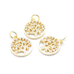 Golden Brass Micro Pave Cubic Zirconia Charms, Flat Round with Tree of Life, Golden, 15x12.5x2mm, Hole: 3mm