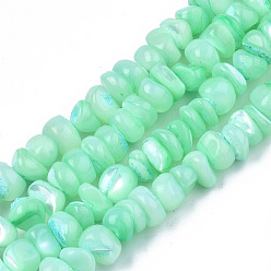 Aquamarine Natural Sea Shell Beads Strands, Dyed, Chips, Aquamarine, 2~7x5~7.5x4.5~7mm, Hole: 0.5~0.7mm, about 97~105pcs/strand, 15.55 inch~15.98 inch(39.5cm~40.6cm)