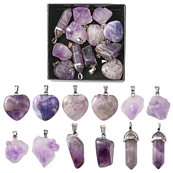 Amethyst 12Pcs 4 Styles Natural Amethyst Pendants, with Platinum Tone Brass Findings, Nuggets & Faceted Bullet & Heart, 15~40x10~20x5~16mm, Hole: 3~7mm