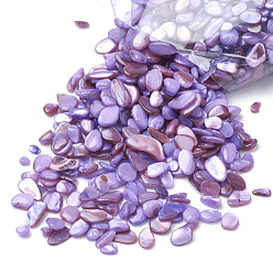 Medium Purple Shell Beads, No Hole Beads, Dyed, Chip, Medium Purple, 1~15x1~15x0.5~5mm, about 450g/bag