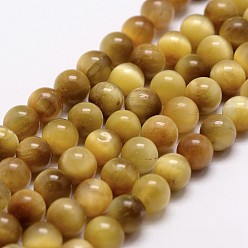 Or Tigre naturel rangées de perles d'oeil, teints et chauffée, ronde, or, 10mm, Trou: 1mm, Environ 37 pcs/chapelet, 14.9 pouces ~ 15.1 pouces