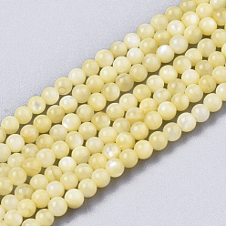 Champagne Yellow Natural Freshwater Shell Beads Strands, Dyed, Round, Champagne Yellow, 2.5mm, Hole: 0.7mm, about 150~190pcs/Strand, 14.96 inch~15.75 inch
