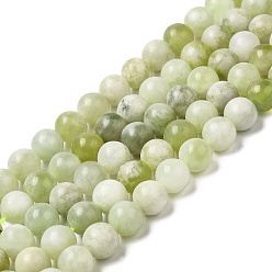 New Jade Natural New Jade Beads Strands, Round, 10mm, Hole: 1mm, about 37pcs/strand, 14.76''~14.96''(37.5~38cm)