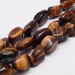 Tiger Eye Natural Tiger Eye Bead Strands, Tumbled Stone, Nuggets, 17~25x10~18x7~16mm, Hole: 1.5mm, about 22~25pcs/strand, 15.75 inch
