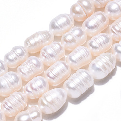 Coquillage De Mer Brins de perles de culture d'eau douce naturelles, perles de riz baroques keshi, couleur de coquillage, 8~15x5.7~7mm, Trou: 0.7~0.8mm, Environ 28~38 pcs/chapelet, 12.99 pouce (33 cm)
