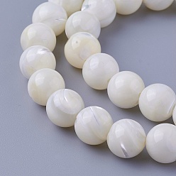 Other Sea Shell Shell Beads Strands, Round, 10~10.2mm, Hole: 1.5mm, about 41pcs/strand, 15.94 inch(40.5cm)