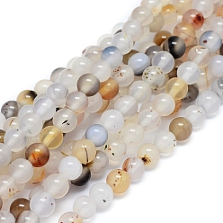 Agate Dendritique Brins de perles d'agate dendritique naturelle, ronde, 6~6.5mm, Trou: 0.8mm, environ 63 pcs / brin, 15.35 pouces (39 cm)