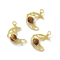 Tiger Eye Natural Tiger Eye Pendants, Moon Charms, with Rack Plating Golden Tone Brass Findings, Cadmium Free & Lead Free, 31.5~33x22x8.5mm, Hole: 2.5~3mm