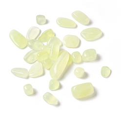 New Jade Natural New Jade Beads, No Hole/Undrilled, Nuggets, 14~26x9~15x5~9mm, about 180pcs/500g