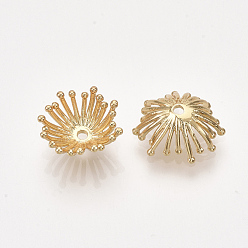 Real 18K Gold Plated Brass Bead Cap, Flower, Real 18K Gold Plated, 13~14x11~13x5~6mm, Hole: 1.4mm