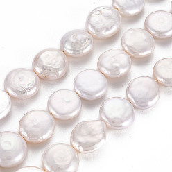 Color de la concha Naturales keshi granos de perlas hebras, perla cultivada de agua dulce, plano y redondo, color de concha, 11~12x3~7 mm, agujero: 0.6 mm, sobre 31~32 unidades / cadena, 14.96 pulgada (38 cm)