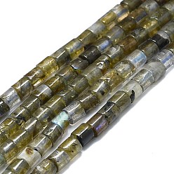 Labradorite Chapelets de perles labradorite naturelle , colonne, 4x3~4mm, Trou: 0.6mm, Environ 99 pcs/chapelet, 15.35'' (39 cm)