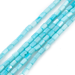 Light Blue Natural Freshwater Shell Dyed Beads Strands, Column, Light Blue, 4.8x3mm, Hole: 0.8mm, about 78pcs/strand, 14.96''(38cm)