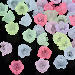 Mixed Color Transparent Acrylic Beads, Frosted, Flower, Mixed Color, 9x9.5x6.5mm, Hole: 1.6mm