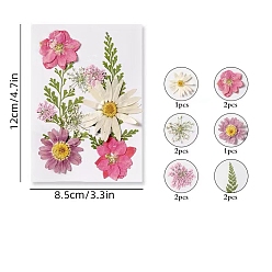 Hot Pink PET Waterproof Self Adhesive Dried Flower Stickers Sets, DIY Hand Bookmark Decoration Sticker, Flower, Hot Pink, 120x85mm