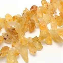 Citrine Rough Raw Natural Citrine Beads Strands, Nuggets, 17~27x9~14x3~10mm, Hole: 0.5mm, 15.1(38.4cm)