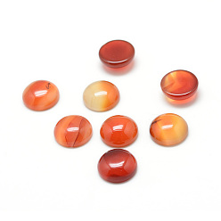 Ágata Roja Cabujones de piedras preciosas de cornalina natural teñida, semicírculo, 8x4 mm