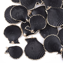 Black Spray Paint & Electroplate Sea Shell Pendants, with Iron Findings, Light Gold, Black, 34~56x29~48x3~10mm, Hole: 2mm