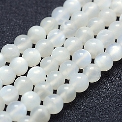 White Moonstone Natural White Moonstone Beads Strands, Grade A-, Round, 5mm, Hole: 1mm, about 82pcs/strand, 15.3 inch(39cm)