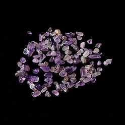 Amethyst Natural Amethyst Chip Beads, No Hole/Undrilled, 2~12x2~10x1~3mm, about 11200pcs/1000g