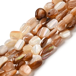 Autres Coquillages De Mer Naturelles coquillage perles brins, nuggets, 8~9x3.5~7.5x3.5~7.5mm, Trou: 1mm, Environ 44~46 pcs/chapelet, 15.16''~15.35'' (38.5~39 cm)