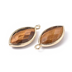 Tiger Eye Natural Tiger Eye Pendants, with Golden Plated Brass Findings, Faceted, Horse Eye, 21.5x11.5x3~5mm, Hole: 1.6mm