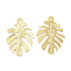 Real 24K Gold Plated Brass Filigree Pendants, Cadmium Free & Lead Free, Monstera Leaf Charm, Real 24K Gold Plated, 19x14x0.5mm, Hole: 1.4mm