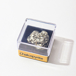 Chalcopyrite Spécimen de pépites de chalcopyrite naturelle brute reiki dans une boîte en plastique carrée, pour la décoration d'affichage à la maison, 32mm