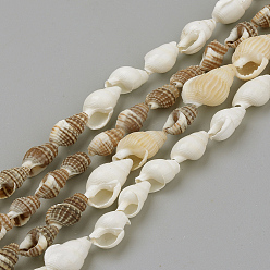 Mixed Color Natural Sea Shell Beads Strands, Mixed Color, 8~18x5~10x5~10mm, about 109pcs/strand, 48 inch
