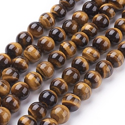 Verge D'or Chapelets de perles oeil de tigre naturelles, Grade a, ronde, verge d'or, 8 mm; sur 49 pcs / brin, 15 pouce