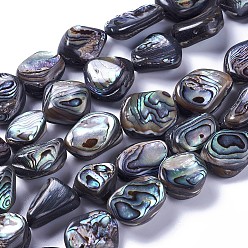 Paua Shell Natural Abalone Shell/Paua Shell Beads Strands, Nuggets, 14~20x11~18x6~8.5mm, Hole: 1.2mm, about 21~23pcs/strand, 15.1~15.5 inch(38.5~39.5cm)