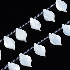 Белые Ракушки Натуральный белый стеклянные бусы нити, лист, 16~17x10x3 мм, отверстие : 0.5~0.6 мм, около 20 шт / нитка, 12.56 дюйм (31.9 см)
