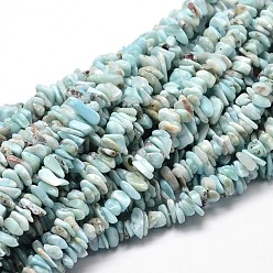 Larimar Natural Larimar Chip Beads Strands, 5~14x4~10mm, Hole: 1mm, about 32 inch