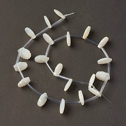 Marfil Perlas de concha de nácar blanco natural, superior perforado, cáscara, blanco cremoso, 10x10x3 mm, agujero: 1 mm, sobre 20 unidades / cadena, 10.63'' (27 cm)