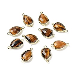 Tiger Eye Natural Tiger Eye Links connectors, with Golden Tone Brass Findings, Teardrop, 22x12x5mm, Hole: 1.6mm