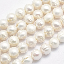 Beige Natural Cultured Freshwater Pearl Beads Strands, Potato, Beige, 10~11x9~10mm, Hole: 0.8mm, about 37pcs/strand, 13.8 inch(35cm)