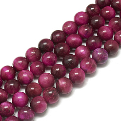 Rouge Violet Moyen Chapelets de perles oeil de tigre naturelles, teint, ronde, support violet rouge, 10mm, Trou: 1mm, Environ 38 pcs/chapelet, 14.9~15.3 pouce
