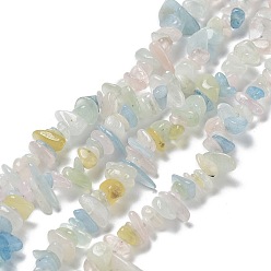 Morganite Chapelets de perles morganite naturelles  , puce, 8~15x5~10x2~7mm, Trou: 1mm, Environ 245~270 pcs/chapelet, 33.07~33.85 pouce (84~86 cm)