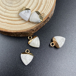 Howlite Natural Howlite Charms, with Golden Tone Metal Loops, Heart, 14x10mm